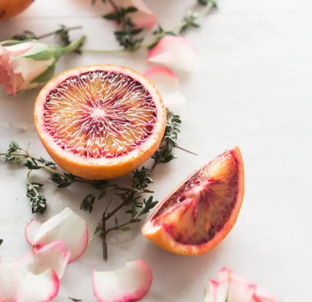 Holistic mental health therapy session